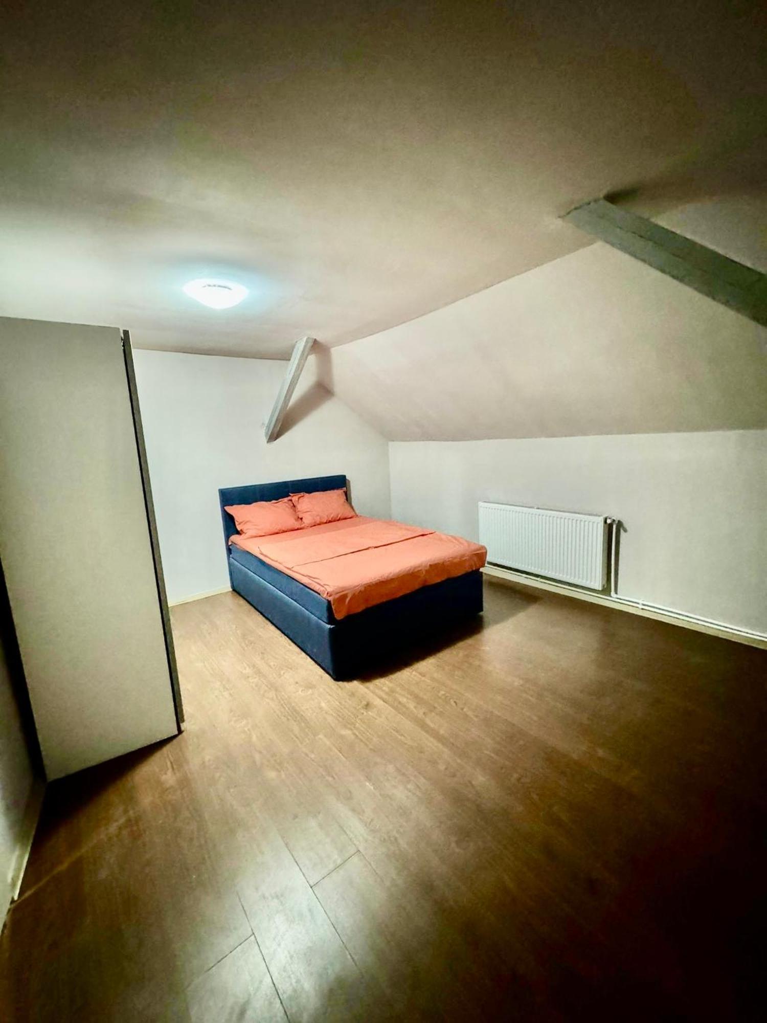Serbian House Bed & Breakfast Тимишоара Екстериор снимка