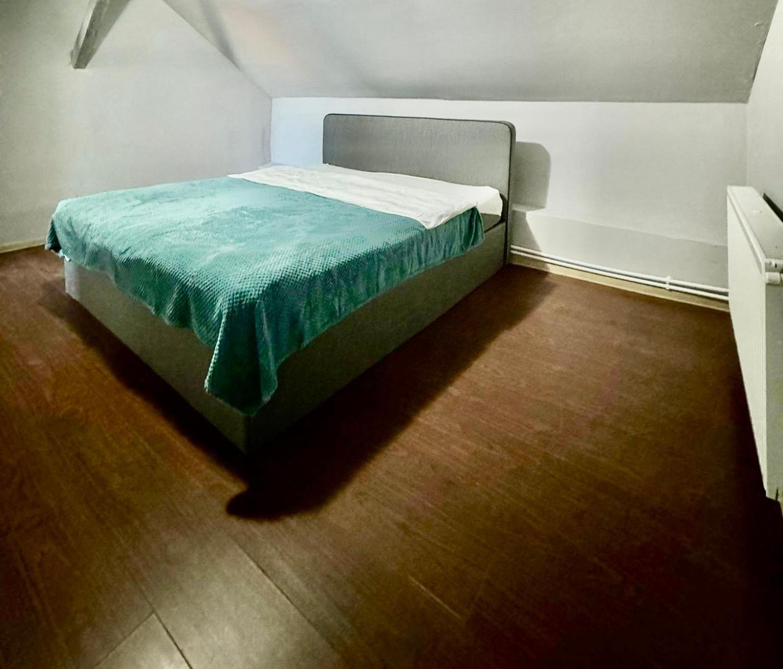 Serbian House Bed & Breakfast Тимишоара Екстериор снимка